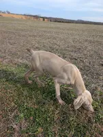 processed/b9ea645d-16d2-4e6d-aa99-4806c71d96af/listing/b5ae5b48-6d8f-4dc8-9bb2-b9bc77c2a95b/916bb184-c630-4683-bd37-b057a831cff0