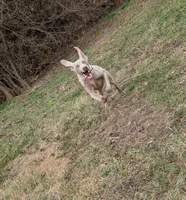 processed/b9ea645d-16d2-4e6d-aa99-4806c71d96af/listing/b5ae5b48-6d8f-4dc8-9bb2-b9bc77c2a95b/b78eec34-5b9c-48ae-bed6-5b16015ed778