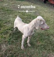 processed/b9ea645d-16d2-4e6d-aa99-4806c71d96af/listing/b5ae5b48-6d8f-4dc8-9bb2-b9bc77c2a95b/cb12d1a2-4964-431c-aa9e-864f6a0ae447