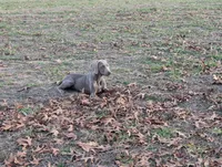 processed/b9ea645d-16d2-4e6d-aa99-4806c71d96af/listing/d9bb3d42-32ef-44e0-b9e2-a3801afc9de9/7a9caba5-19d7-4d32-9db8-c32333a3f35c