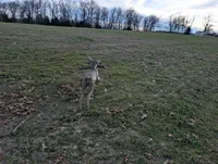 processed/b9ea645d-16d2-4e6d-aa99-4806c71d96af/listing/d9bb3d42-32ef-44e0-b9e2-a3801afc9de9/7f183fec-9ba6-49f0-9b8a-d631f1e0f70a