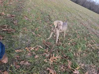 processed/b9ea645d-16d2-4e6d-aa99-4806c71d96af/listing/d9bb3d42-32ef-44e0-b9e2-a3801afc9de9/ed8c6f45-150a-46ed-a105-04ea369b4008