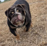 processed/b9ea645d-16d2-4e6d-aa99-4806c71d96af/listing/dbb04fa7-bad6-4729-ab4c-c8105c2ce88d/98e5e9ae-8534-45c3-89e7-cd78def8ac58