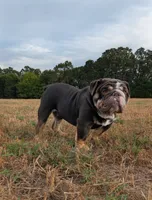 processed/b9ea645d-16d2-4e6d-aa99-4806c71d96af/listing/dbb04fa7-bad6-4729-ab4c-c8105c2ce88d/a6da34f1-0bfc-4631-8112-04ab6d18c2ab