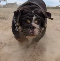 processed/b9ea645d-16d2-4e6d-aa99-4806c71d96af/listing/dbb04fa7-bad6-4729-ab4c-c8105c2ce88d/aa4ae276-c99c-4a7c-9b0a-10d090fbe42b