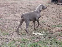 processed/b9ea645d-16d2-4e6d-aa99-4806c71d96af/listing/fa9b8c4f-541e-4fd1-ae61-b614354ec2fe/11a1410e-1cd8-4632-8cc2-7eb101c369ef