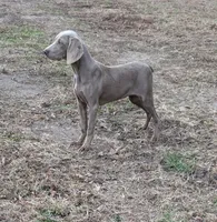 processed/b9ea645d-16d2-4e6d-aa99-4806c71d96af/listing/fa9b8c4f-541e-4fd1-ae61-b614354ec2fe/1492460d-002b-4e4d-890c-9e43d7f7b75f