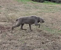 processed/b9ea645d-16d2-4e6d-aa99-4806c71d96af/listing/fa9b8c4f-541e-4fd1-ae61-b614354ec2fe/1b0a9baf-56ac-4dce-b7f7-378515f9057e