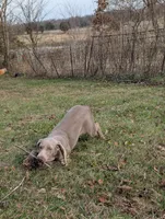 processed/b9ea645d-16d2-4e6d-aa99-4806c71d96af/listing/fa9b8c4f-541e-4fd1-ae61-b614354ec2fe/e139357a-2dbc-4234-b7c7-73cc9b2d23a2