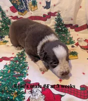 processed/b9f531fd-7ea2-4481-ac13-143a7326530f/listing/3bcd9687-080d-4a75-8d70-cbce3f21cb5e/8dad9a27-5ff9-4200-9190-d1ce9a73807b