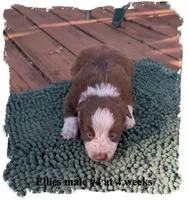 processed/b9f531fd-7ea2-4481-ac13-143a7326530f/listing/3bcd9687-080d-4a75-8d70-cbce3f21cb5e/af8cd159-0659-41f9-947d-d6ad52b46c4b