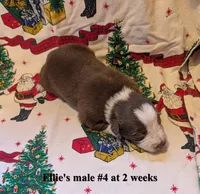 processed/b9f531fd-7ea2-4481-ac13-143a7326530f/listing/3bcd9687-080d-4a75-8d70-cbce3f21cb5e/c2b5eba6-f1b1-47d2-a818-d14dab498f22