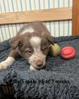 processed/b9f531fd-7ea2-4481-ac13-143a7326530f/listing/3bcd9687-080d-4a75-8d70-cbce3f21cb5e/c7f9885c-a81f-4b45-b77c-361946ffce6c