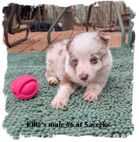 processed/b9f531fd-7ea2-4481-ac13-143a7326530f/listing/c3893fe6-fdc9-4fdd-8a62-8bb63e5c0a5c/5bfbc8d5-2612-48ec-9e3d-9cc259e43a7f