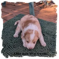 processed/b9f531fd-7ea2-4481-ac13-143a7326530f/listing/c3893fe6-fdc9-4fdd-8a62-8bb63e5c0a5c/6b94a2a8-df8d-44dd-9f25-d0713bf5ca88