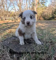 processed/b9f531fd-7ea2-4481-ac13-143a7326530f/listing/c3893fe6-fdc9-4fdd-8a62-8bb63e5c0a5c/94a784f8-3552-4f5a-9f61-697ab7e95c71