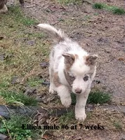 processed/b9f531fd-7ea2-4481-ac13-143a7326530f/listing/c3893fe6-fdc9-4fdd-8a62-8bb63e5c0a5c/c0676bcf-fffe-4a70-b77f-bee789ddc36d