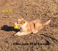 processed/b9f531fd-7ea2-4481-ac13-143a7326530f/listing/c3893fe6-fdc9-4fdd-8a62-8bb63e5c0a5c/fdc63813-7959-4c11-a59e-5bdfec5c78da