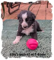 processed/b9f531fd-7ea2-4481-ac13-143a7326530f/listing/eef8d344-7fca-46f0-863f-8cf95d46ffac/6b850a42-8161-4aa8-afcf-a2a278b4ba0e