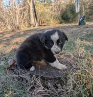 processed/b9f531fd-7ea2-4481-ac13-143a7326530f/listing/eef8d344-7fca-46f0-863f-8cf95d46ffac/9818eab9-01e2-4e65-80b2-a33ea98d759a