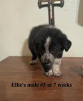 processed/b9f531fd-7ea2-4481-ac13-143a7326530f/listing/eef8d344-7fca-46f0-863f-8cf95d46ffac/affe5111-2522-4c3e-82aa-2b82b9e9a8fd