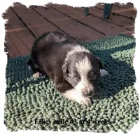 processed/b9f531fd-7ea2-4481-ac13-143a7326530f/listing/eef8d344-7fca-46f0-863f-8cf95d46ffac/c2f848d8-7bb2-40e0-9f3b-672e92b16b3a