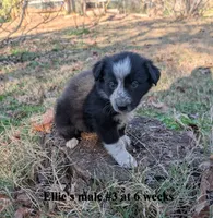 processed/b9f531fd-7ea2-4481-ac13-143a7326530f/listing/eef8d344-7fca-46f0-863f-8cf95d46ffac/d5407d93-bbfa-4c3c-9135-3e62e387d5bb