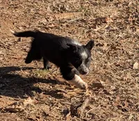 processed/b9f531fd-7ea2-4481-ac13-143a7326530f/listing/eef8d344-7fca-46f0-863f-8cf95d46ffac/f462c93f-5074-406d-bfbe-ef859ee71722