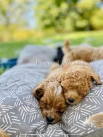 processed/b9f8af1c-1472-4a05-9021-71416eb55cf7/facility/3f82c2e4-c7b9-446a-a97b-d49d557da067