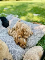 processed/b9f8af1c-1472-4a05-9021-71416eb55cf7/facility/4b4e8602-39a5-446d-8f6b-7e72cd93393a