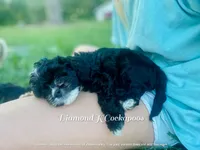 processed/b9f8af1c-1472-4a05-9021-71416eb55cf7/facility/5c955414-27e3-4ac7-86bf-d0cf8a7dbb94