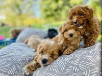 processed/b9f8af1c-1472-4a05-9021-71416eb55cf7/facility/6c5de5e3-065a-490a-8de3-3d07d3edb51a