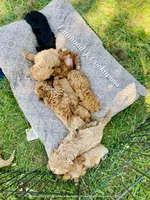 processed/b9f8af1c-1472-4a05-9021-71416eb55cf7/facility/79ba2a41-53dc-41ed-9c67-09ea672e9a02