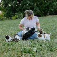 processed/b9f8af1c-1472-4a05-9021-71416eb55cf7/facility/8a3ba30a-ed51-4429-9b34-425a04d55891