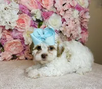 processed/b9f8af1c-1472-4a05-9021-71416eb55cf7/listing/165892d6-4af0-4b0d-8eff-608540abd04d/1e0b9a09-e624-47af-8362-7595ab8be13e