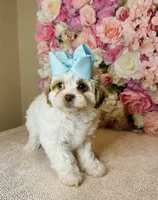 processed/b9f8af1c-1472-4a05-9021-71416eb55cf7/listing/165892d6-4af0-4b0d-8eff-608540abd04d/2bbe17d5-8956-4920-a588-7975731388f3