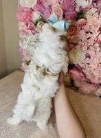 processed/b9f8af1c-1472-4a05-9021-71416eb55cf7/listing/165892d6-4af0-4b0d-8eff-608540abd04d/5b1c53b9-10fc-4962-a9f0-3ac5029c7736