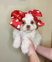 processed/b9f8af1c-1472-4a05-9021-71416eb55cf7/listing/165892d6-4af0-4b0d-8eff-608540abd04d/e59e6430-8b0f-4ec1-b677-293a3f7c893c