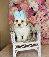 processed/b9f8af1c-1472-4a05-9021-71416eb55cf7/listing/165892d6-4af0-4b0d-8eff-608540abd04d/fa4a1edd-b253-42ea-b40c-6e22828cc914