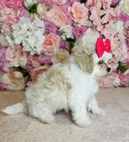 processed/b9f8af1c-1472-4a05-9021-71416eb55cf7/listing/2dceadd4-216e-445a-88a9-4469ffe27024/3fc283b1-425c-4e67-9b3b-cd4336c596f2