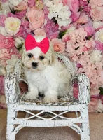 processed/b9f8af1c-1472-4a05-9021-71416eb55cf7/listing/2dceadd4-216e-445a-88a9-4469ffe27024/8756e388-b0fe-4a34-9705-51a356ffcfe0