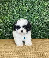 processed/b9f8af1c-1472-4a05-9021-71416eb55cf7/listing/49d9554f-5aa7-4683-8cff-2b0938ecd562/0f8436a2-7167-4620-85c1-da52c8ddc8f3