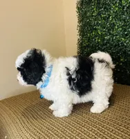 processed/b9f8af1c-1472-4a05-9021-71416eb55cf7/listing/49d9554f-5aa7-4683-8cff-2b0938ecd562/18ac6944-03b4-472d-aee6-f8e4f1619cf8