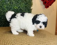 processed/b9f8af1c-1472-4a05-9021-71416eb55cf7/listing/49d9554f-5aa7-4683-8cff-2b0938ecd562/44d6e00a-d5bb-45a3-a772-93ce4a5527ca