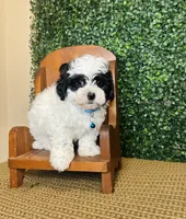 processed/b9f8af1c-1472-4a05-9021-71416eb55cf7/listing/49d9554f-5aa7-4683-8cff-2b0938ecd562/4565599a-c410-4362-8bb9-2931e07d7819