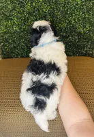 processed/b9f8af1c-1472-4a05-9021-71416eb55cf7/listing/49d9554f-5aa7-4683-8cff-2b0938ecd562/aee7cf01-01c1-47d6-a6f5-1d248a43022b