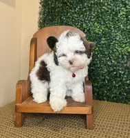 processed/b9f8af1c-1472-4a05-9021-71416eb55cf7/listing/5c6ba74d-bdda-4e5e-b842-7f8aa6797ef4/167a665e-292b-4e28-996e-b87243105ce3