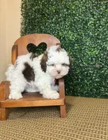 processed/b9f8af1c-1472-4a05-9021-71416eb55cf7/listing/5c6ba74d-bdda-4e5e-b842-7f8aa6797ef4/4811f621-ff56-4cae-ae7e-190c10a561f4