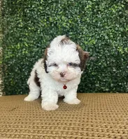 processed/b9f8af1c-1472-4a05-9021-71416eb55cf7/listing/5c6ba74d-bdda-4e5e-b842-7f8aa6797ef4/5856b652-3bab-49fe-b93e-46a3a0cd71c3