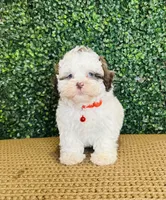 processed/b9f8af1c-1472-4a05-9021-71416eb55cf7/listing/5c6ba74d-bdda-4e5e-b842-7f8aa6797ef4/5c20197d-7ed7-4077-a8c3-379c83c33611